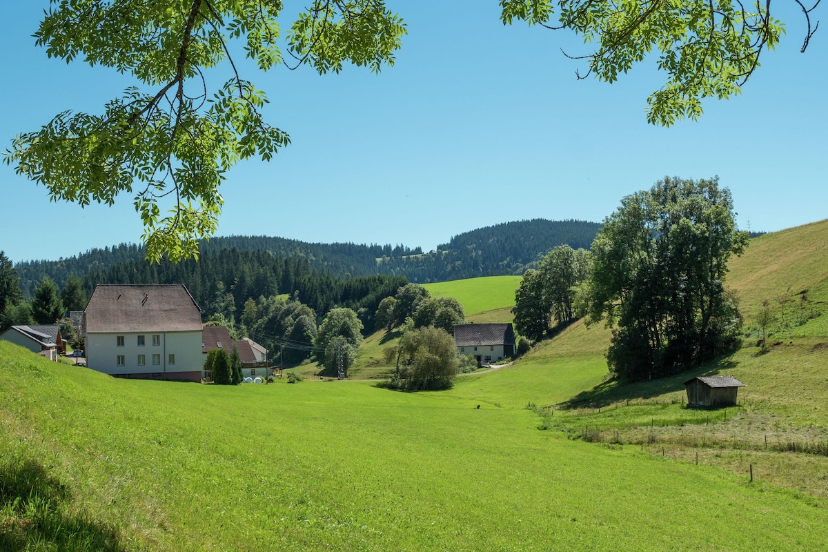 Holiday flat with balcony in Black Forest