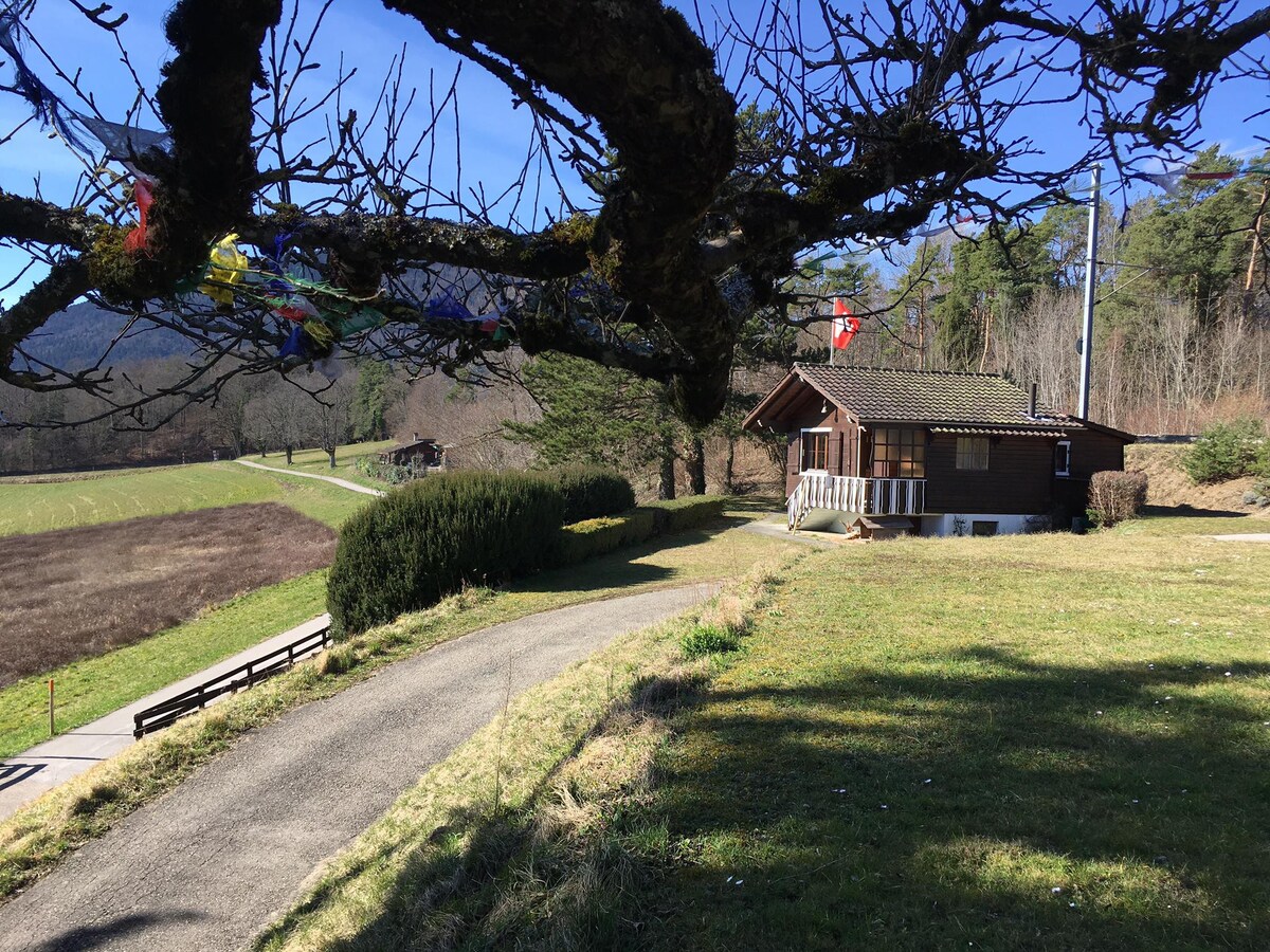 Chalet des lutins ，位于大自然中心的度假木屋