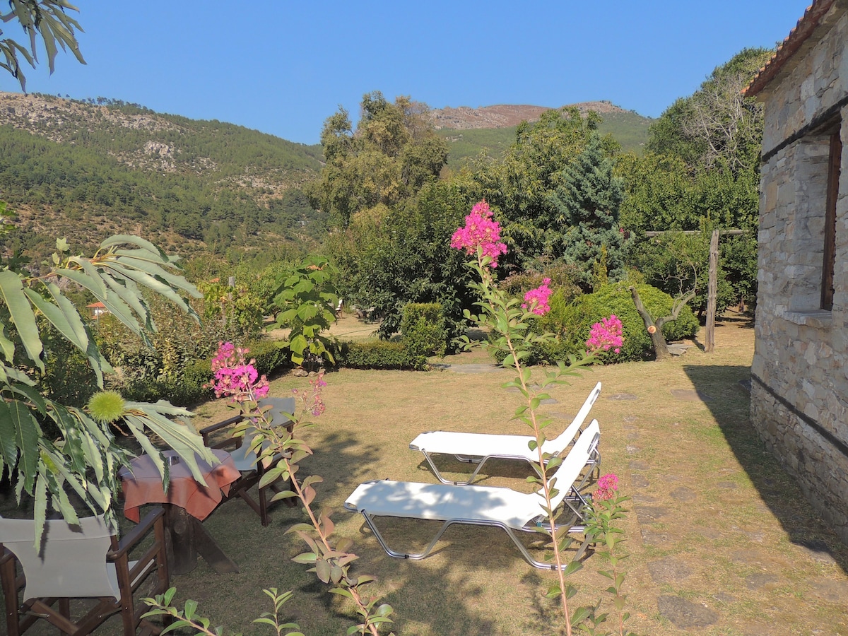 Villa Kazaviti - Bungalow, Mikro Kazaviti, Thassos