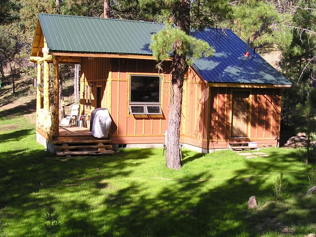 Elk Ridge Cabin in the pines