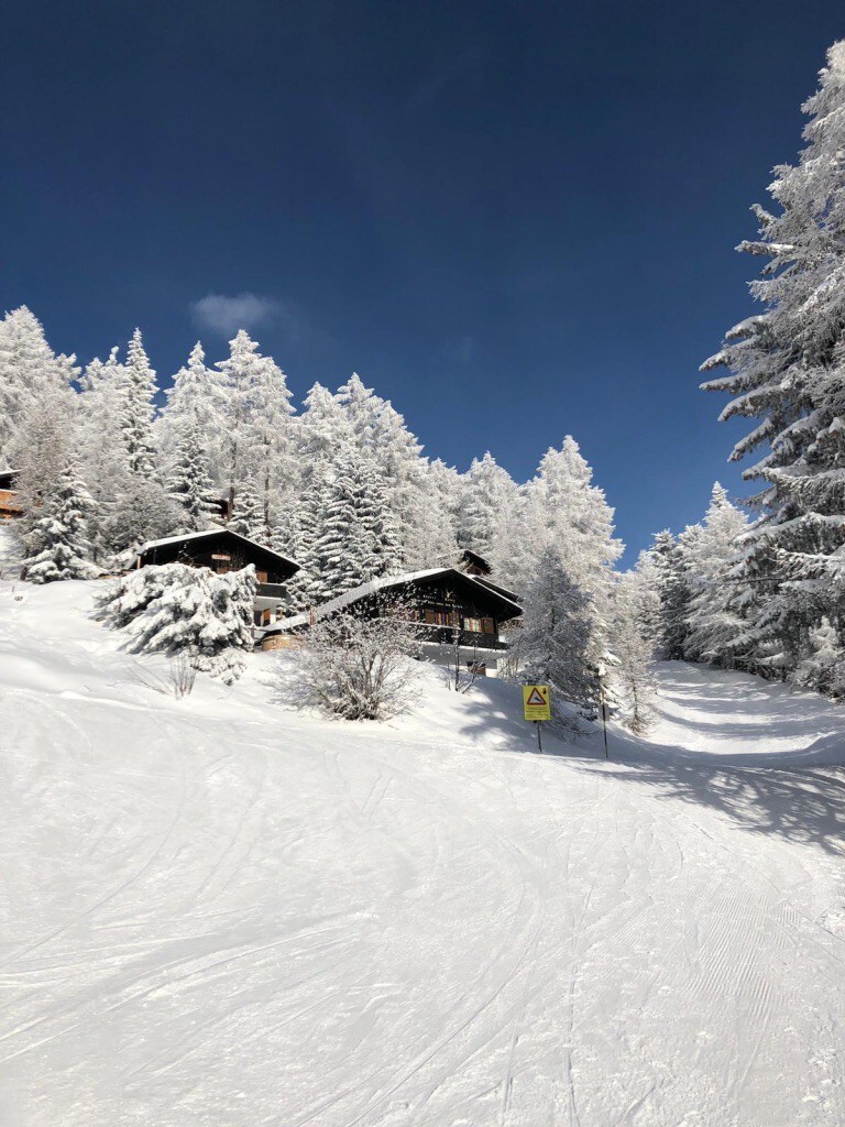 瑞士贝尔瓦尔德滑雪度假木屋