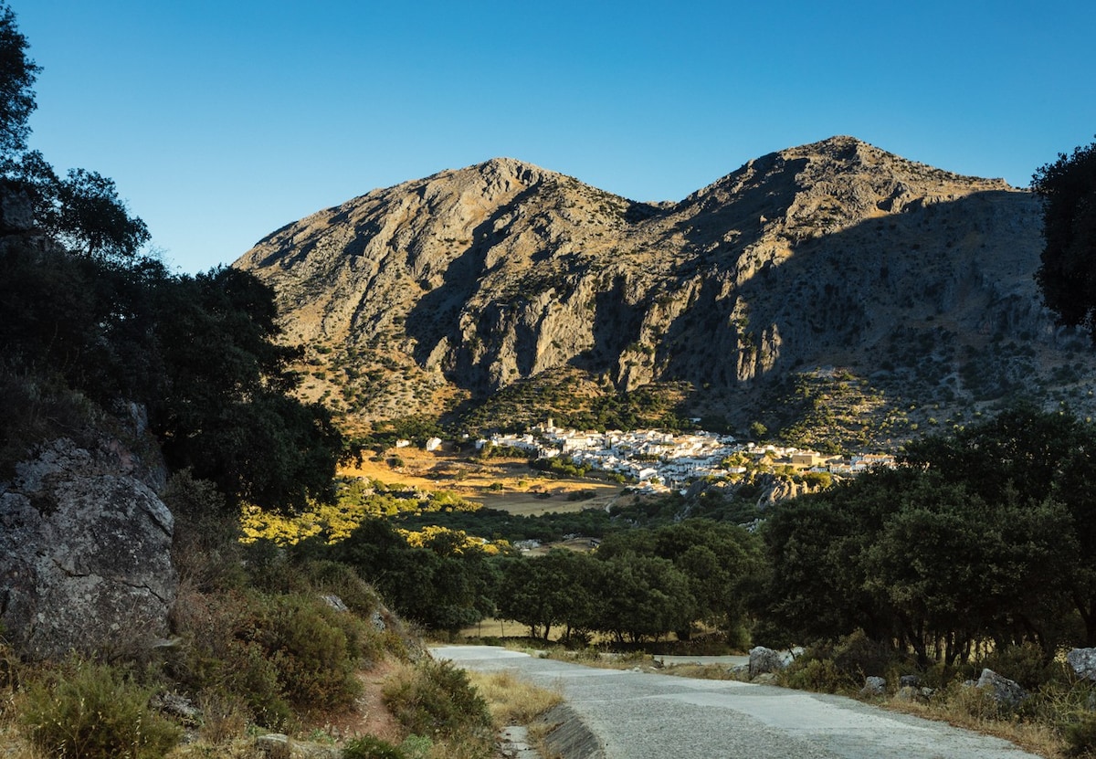 格拉萨莱马公园（ Grazalema park ）美丽而特色的房间