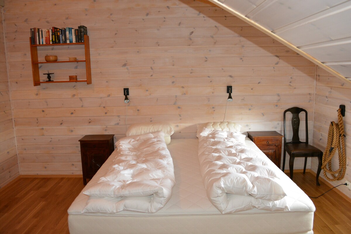 Tyin-Filefjell: Big, modern apartment (ski in/out)