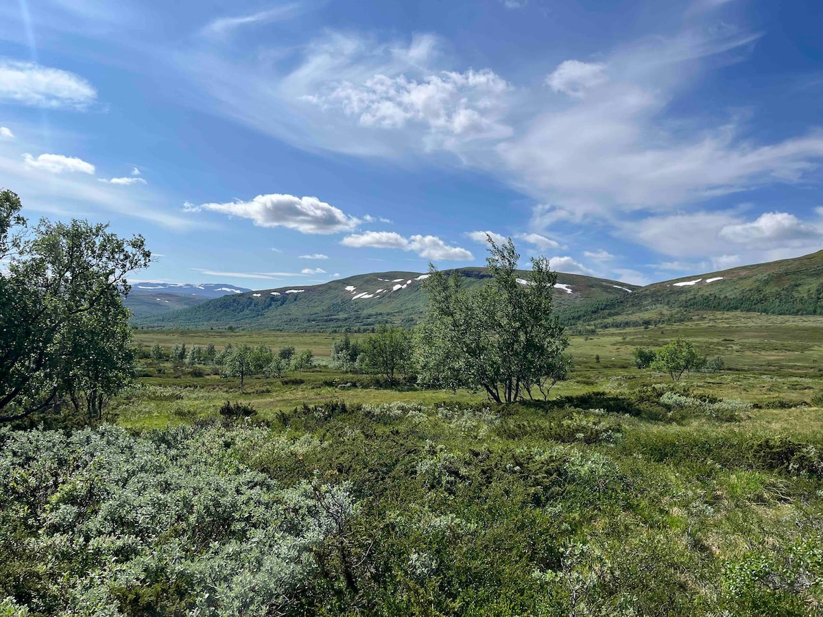 Newly built 4-br chalet in Funäsdalen