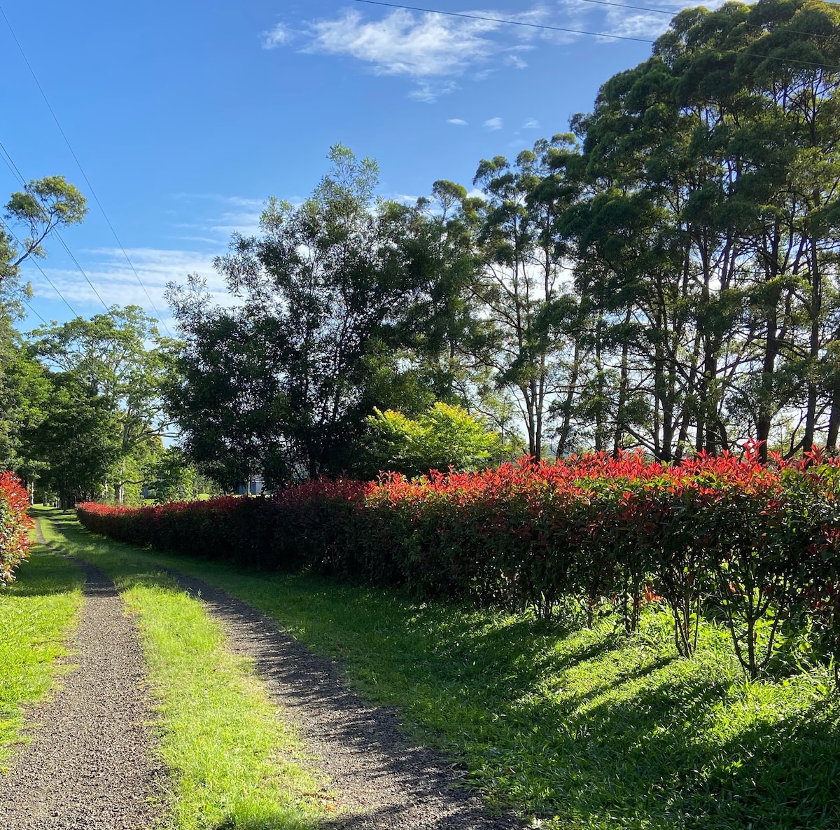 The Barn Rosebank - The Hills in Byron Hinterland