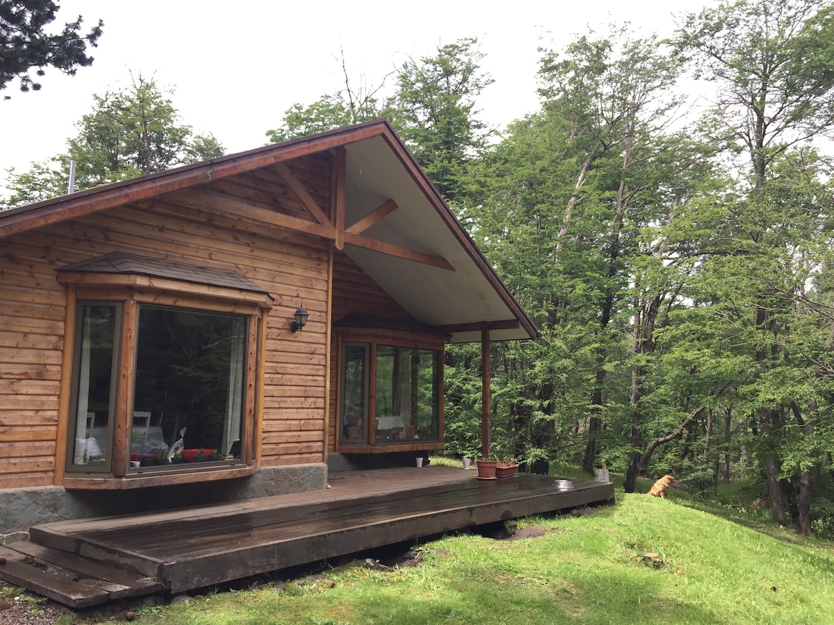 Confortable cabaña en bosque nativo, amplio jardin