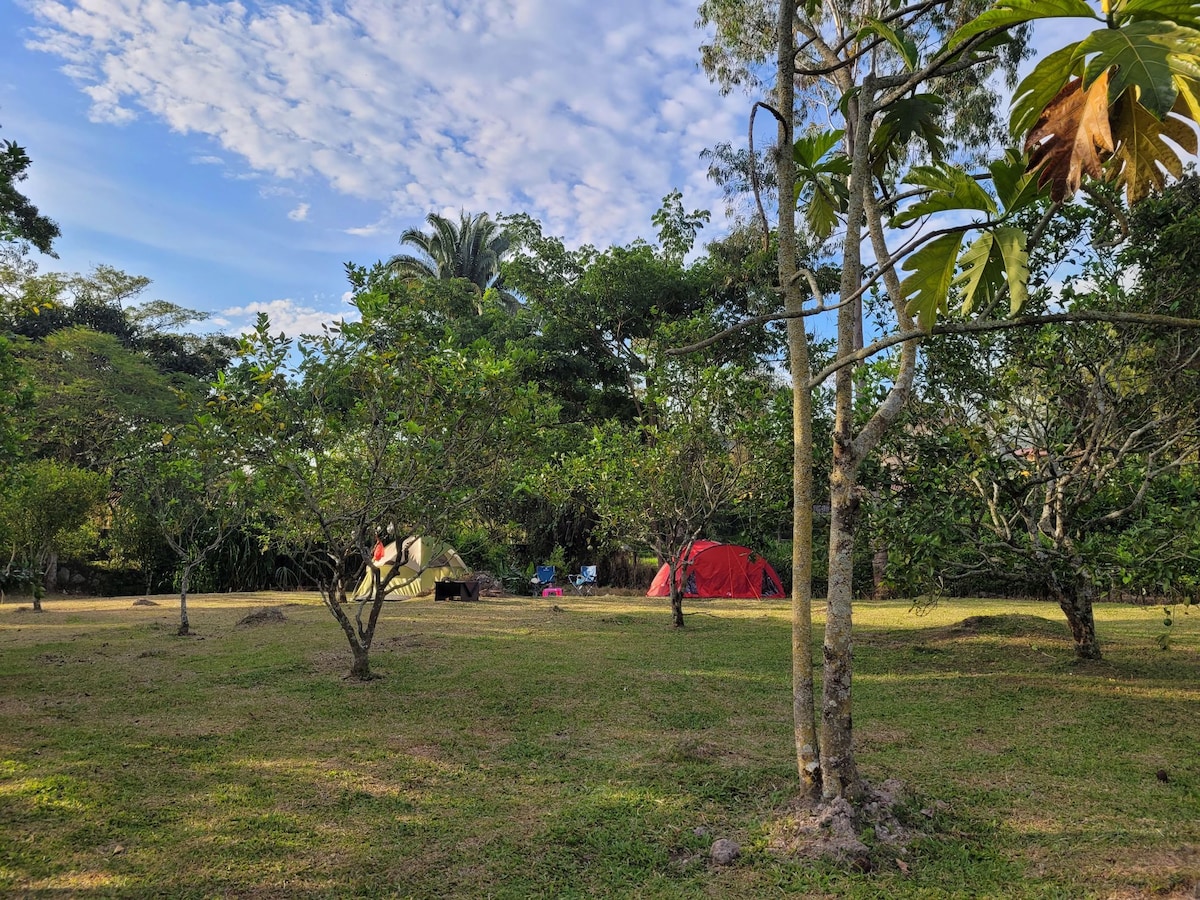 Zona de Camping - Altos de la Reserva