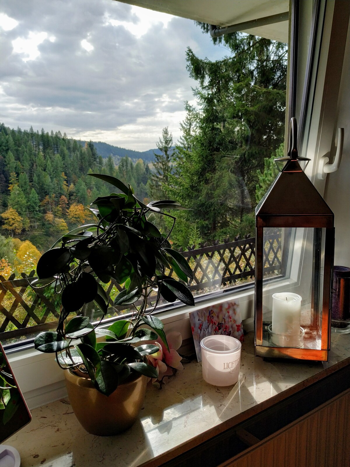 Harz Terrassen Ferienwohnung mit Traumblick