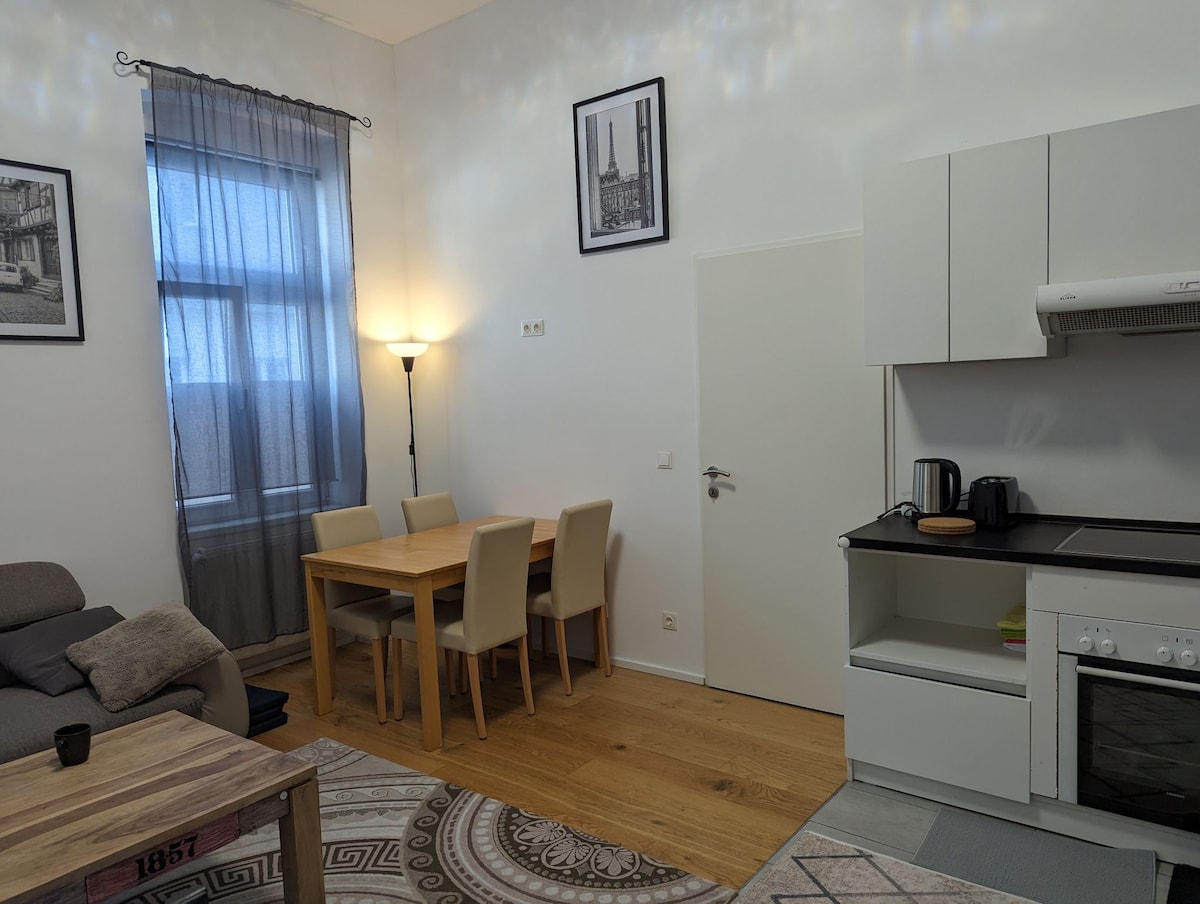 private appartement Vienna