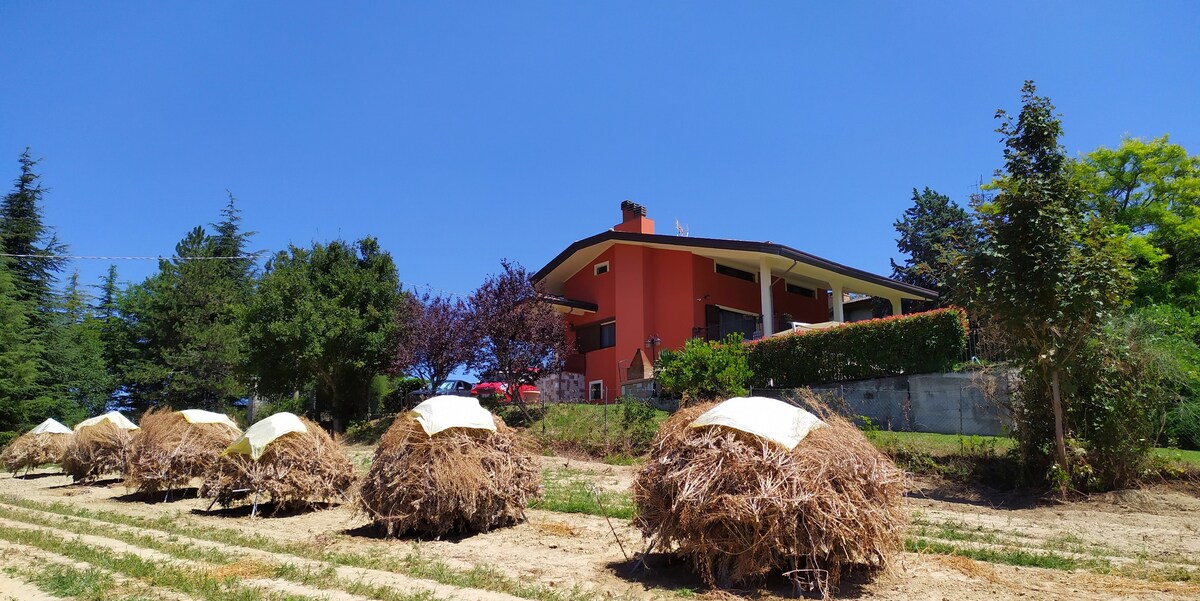 Villa delle Ginestre （泳池和全景）