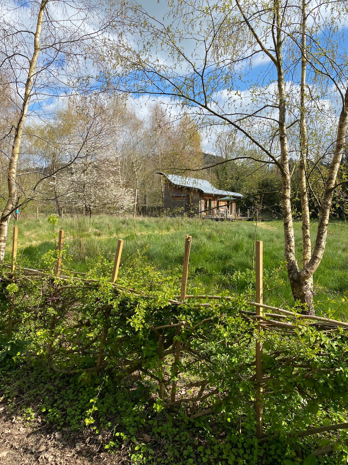 The Cabin at Hales Barn, Bucknell, Shropshire