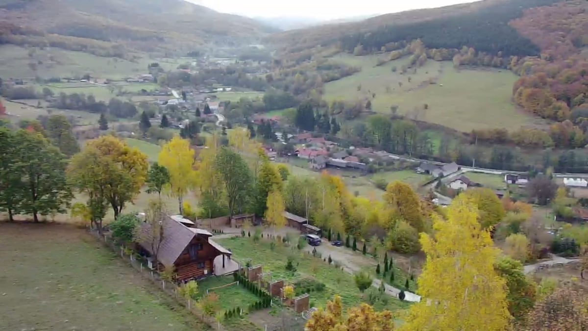 科瓦斯纳县Valea Dobarlaului村的Gruia Chalet。