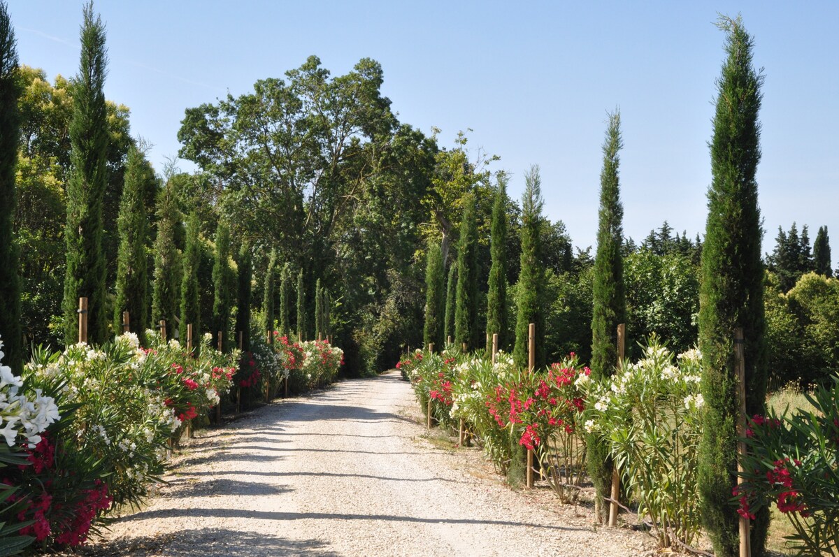 3 bdrm house - ac - btwn Avignon & Saint Remy