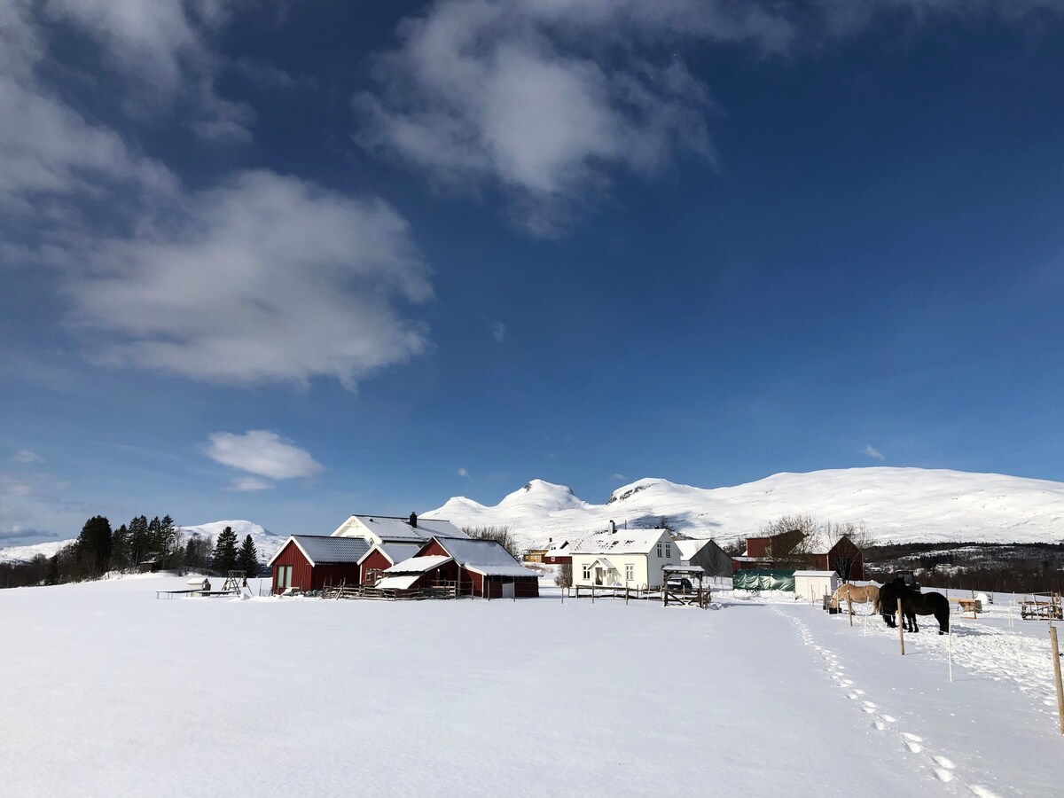 Idyllisk Nordlandshus på gård i Nordland.