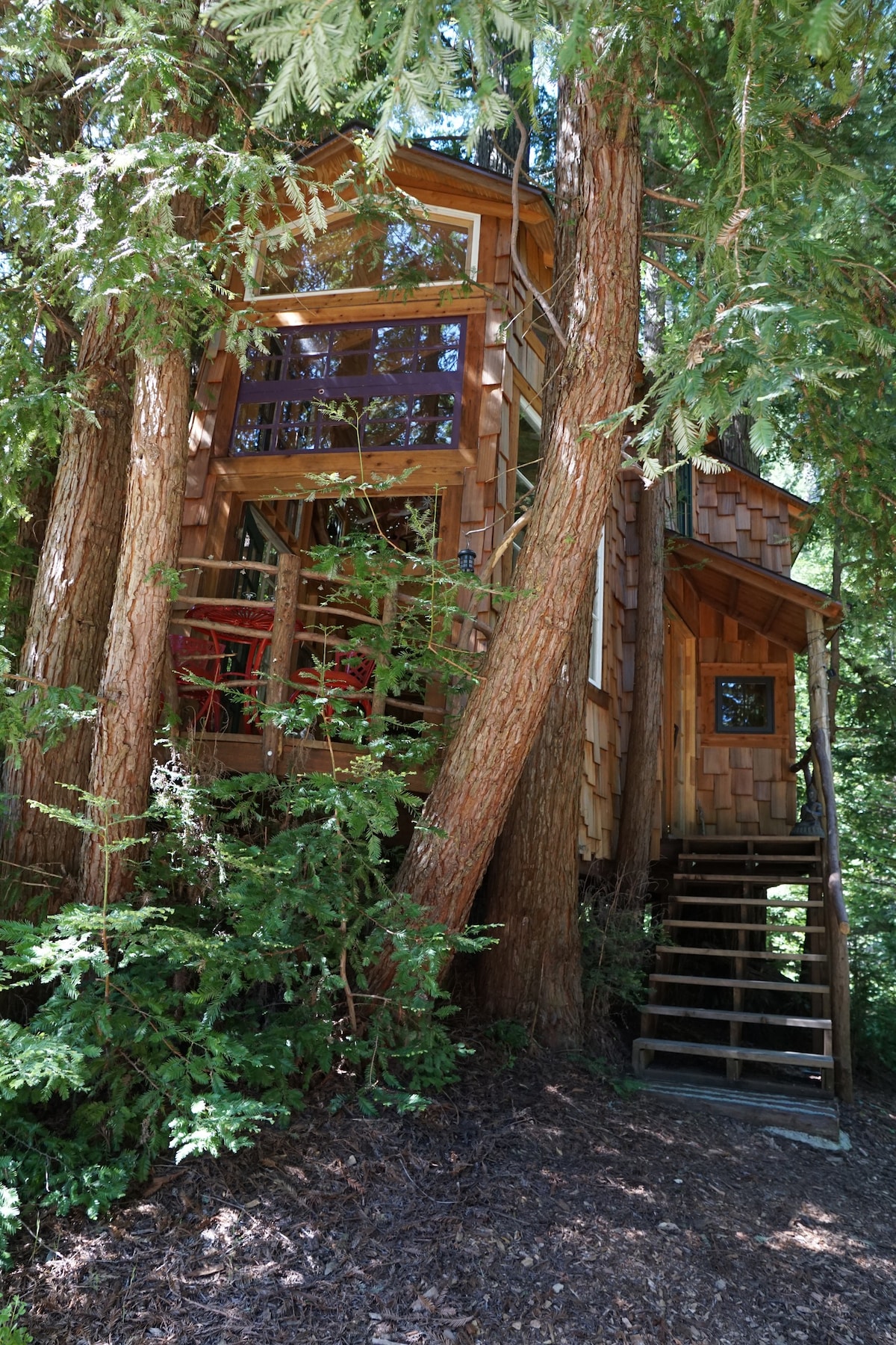 Magical Tree House