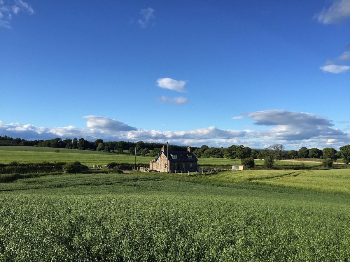 Blackhill Cottage, Near Bankfoot, Perthshire