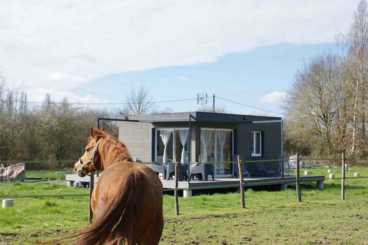 Cottage tout confort au milieu des chevaux