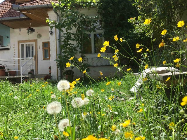 布拉索夫(Brașov)的民宿