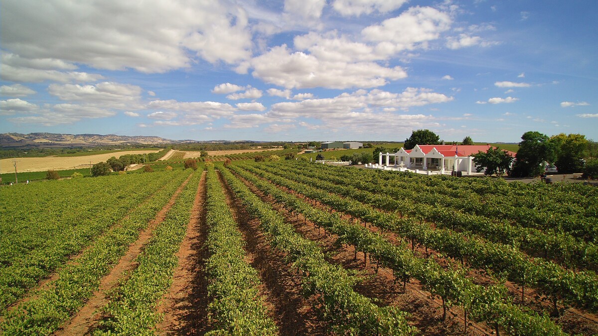 1837 Barossa Luxury Vineyard Cottage S Australia