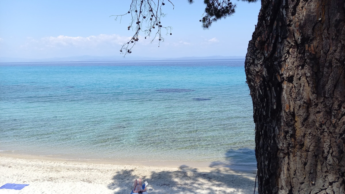 Το διαμέρισμα της Σοφίας