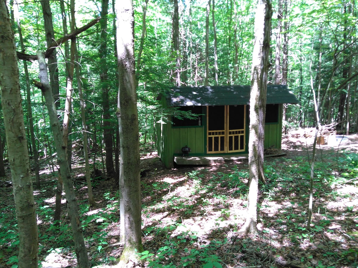 乡村度假木屋：作家之巢