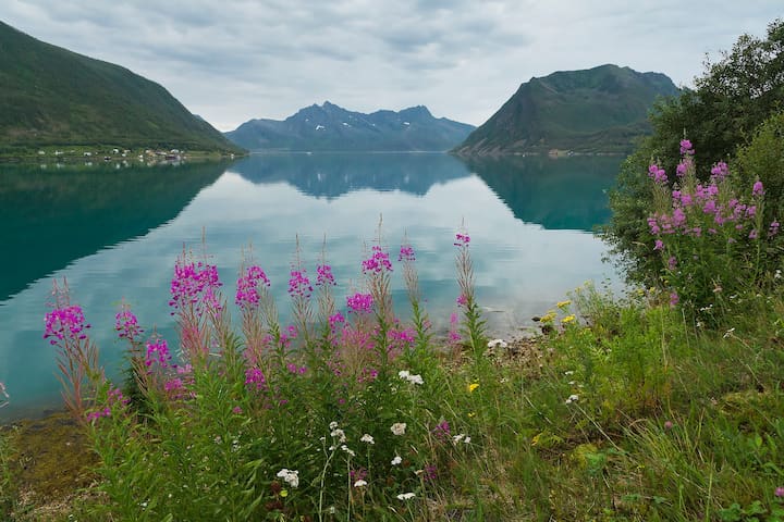 Sifjord的民宿