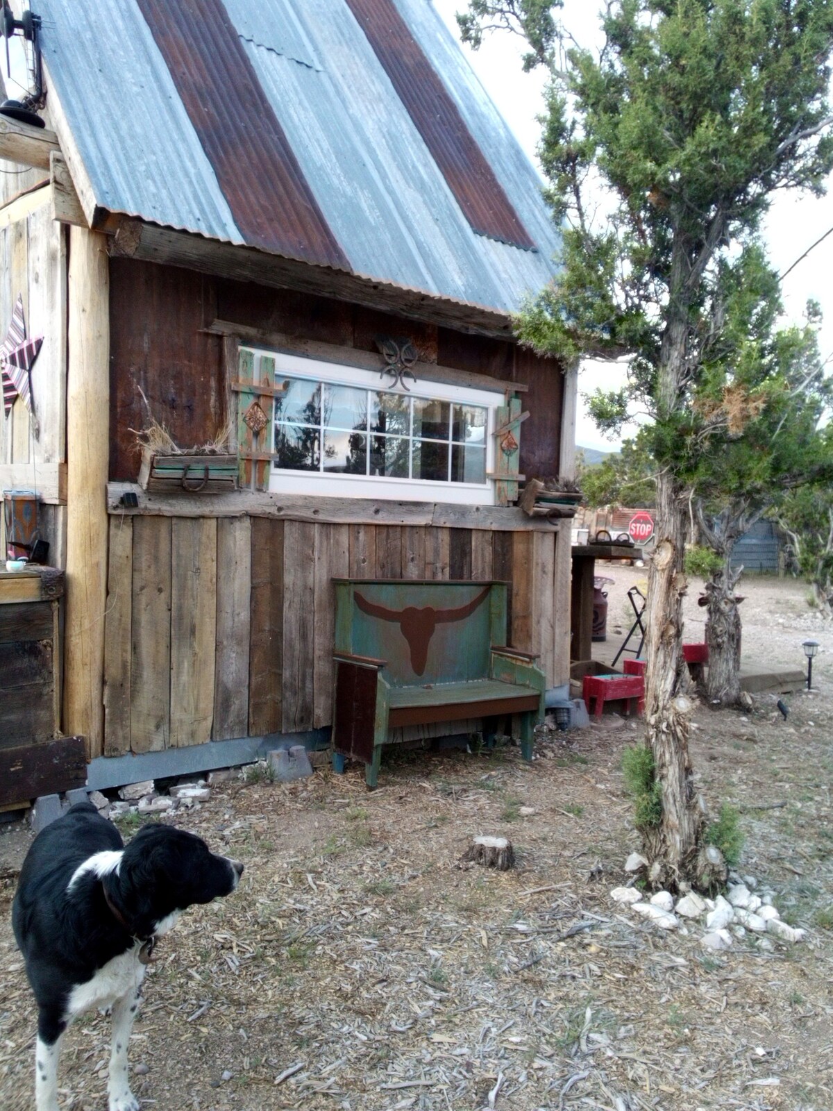 Juniper Heights tiny cabin