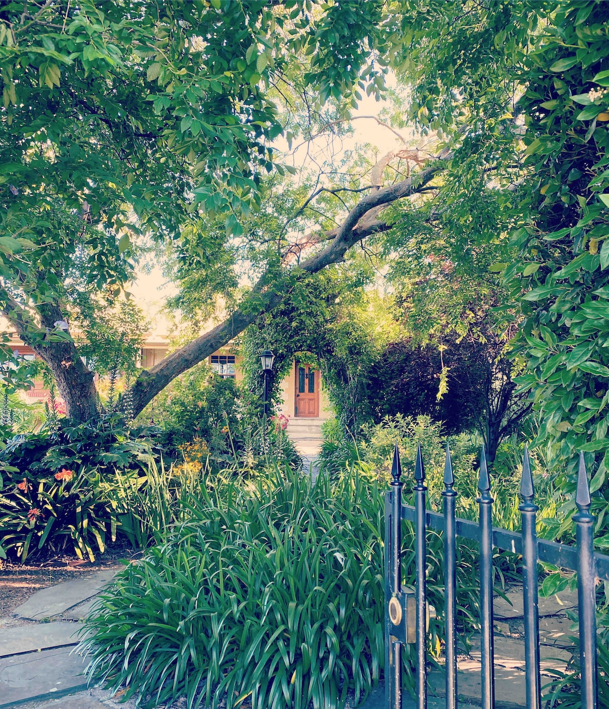 Cole-Brook Cottage in McLaren Vale