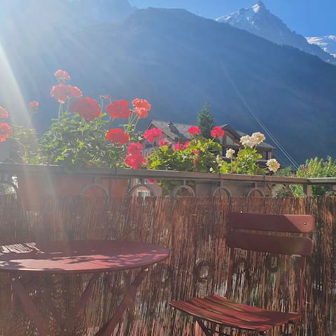 夏蒙尼(Chamonix-Mont-Blanc)的民宿