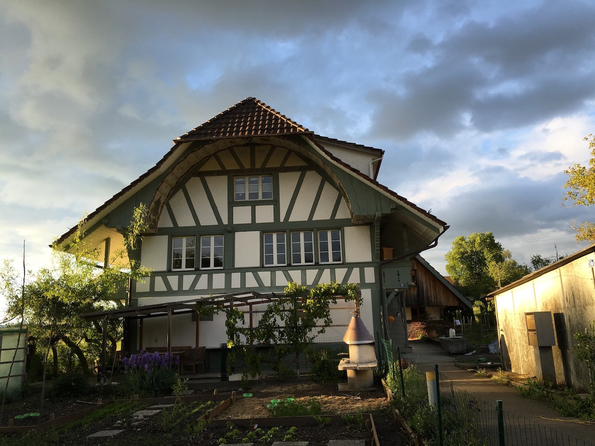 sunny apartment in the green close to town