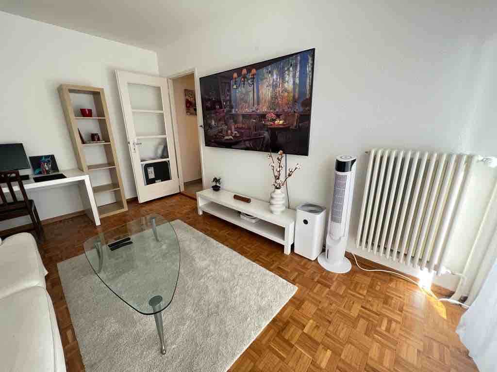 "Luffy" Great Apartment in Downtown Geneva!