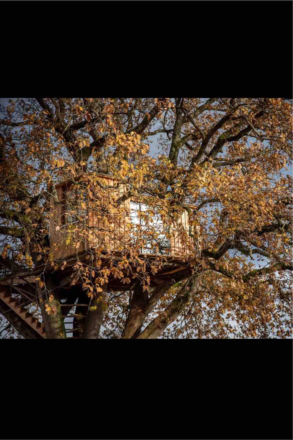 Dolce Cabana ： 8米远的橡树屋中的树屋