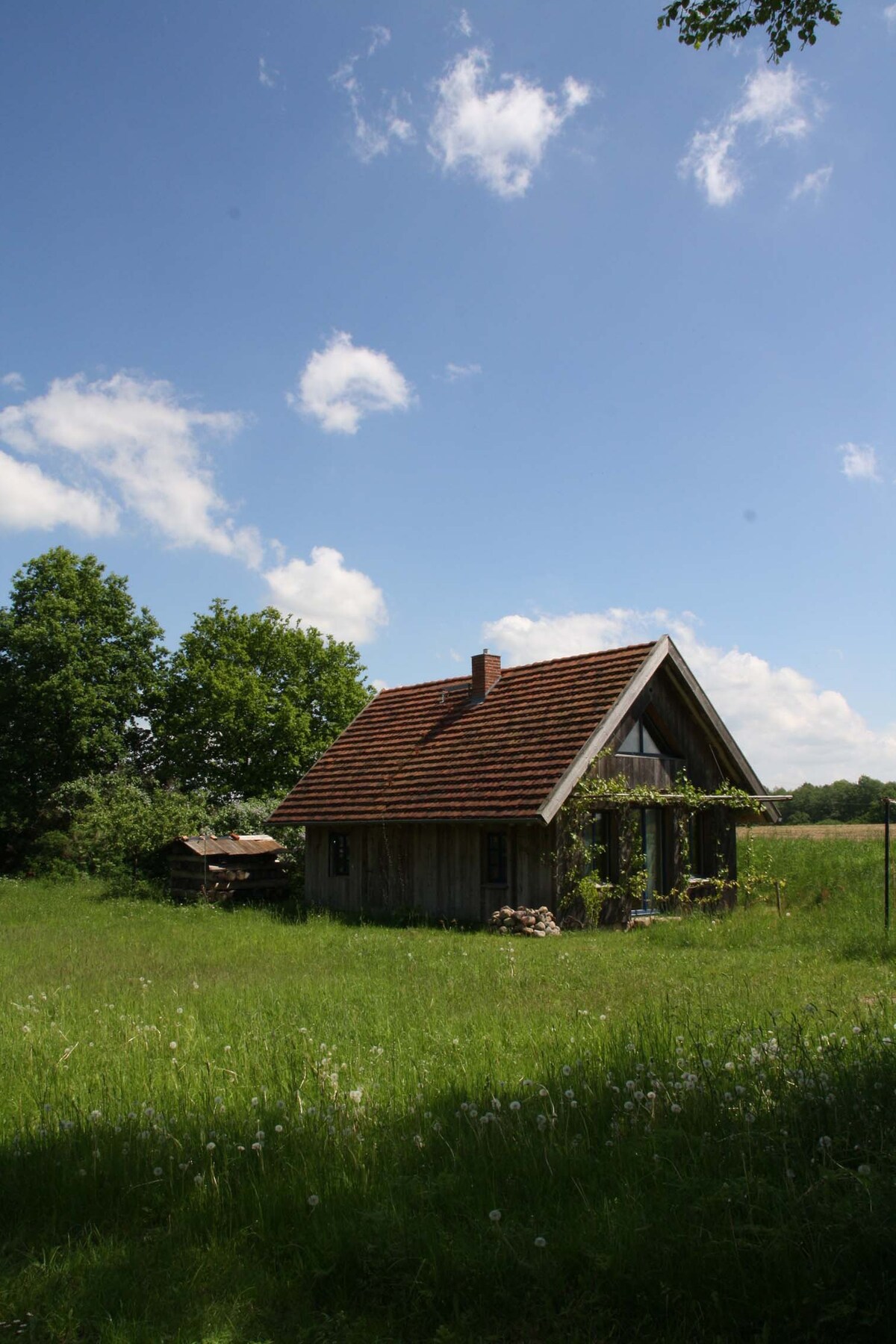 安静僻静的小屋