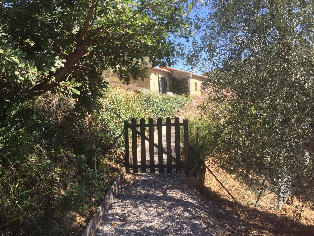 Panoramic view & outdoor jacuzzi - Pienza