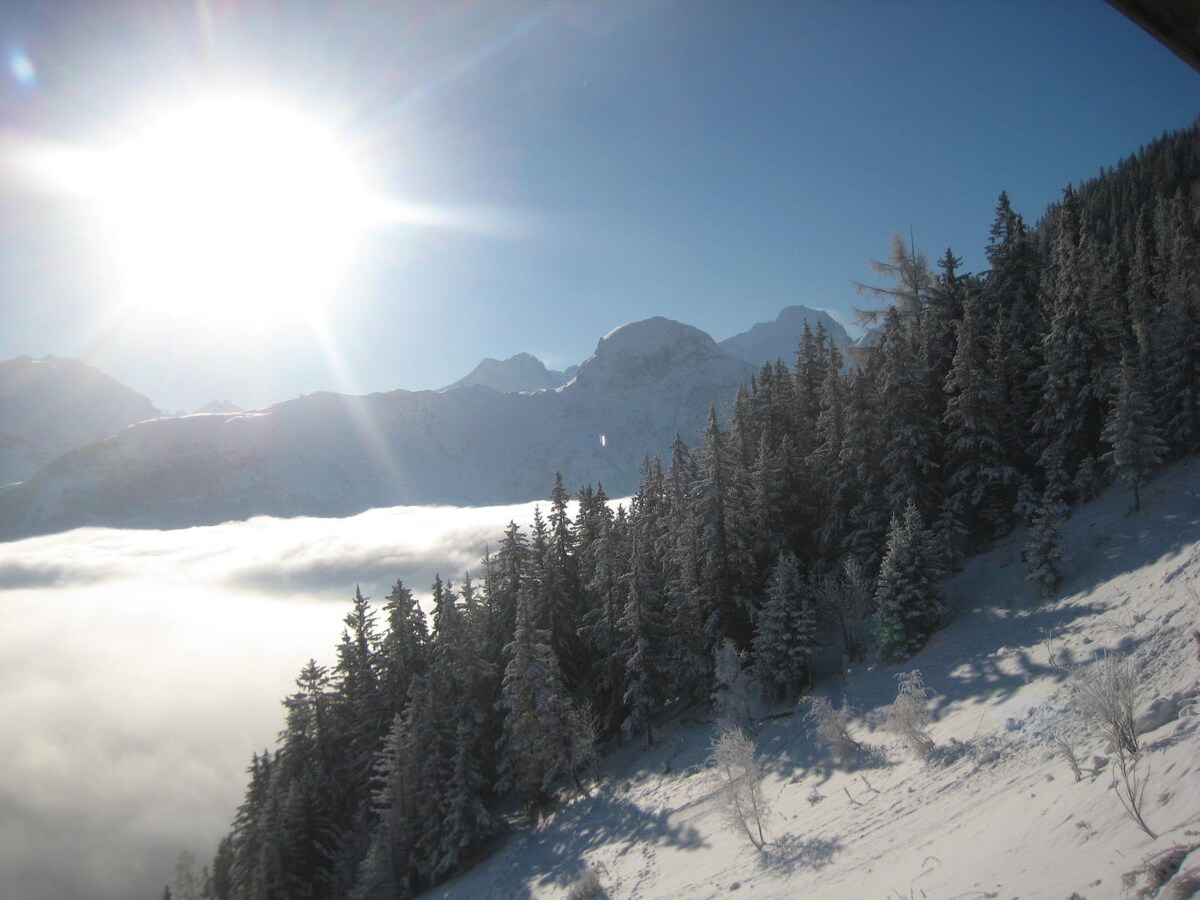 Stylish duplex @skiresort Auris-en-Oisans