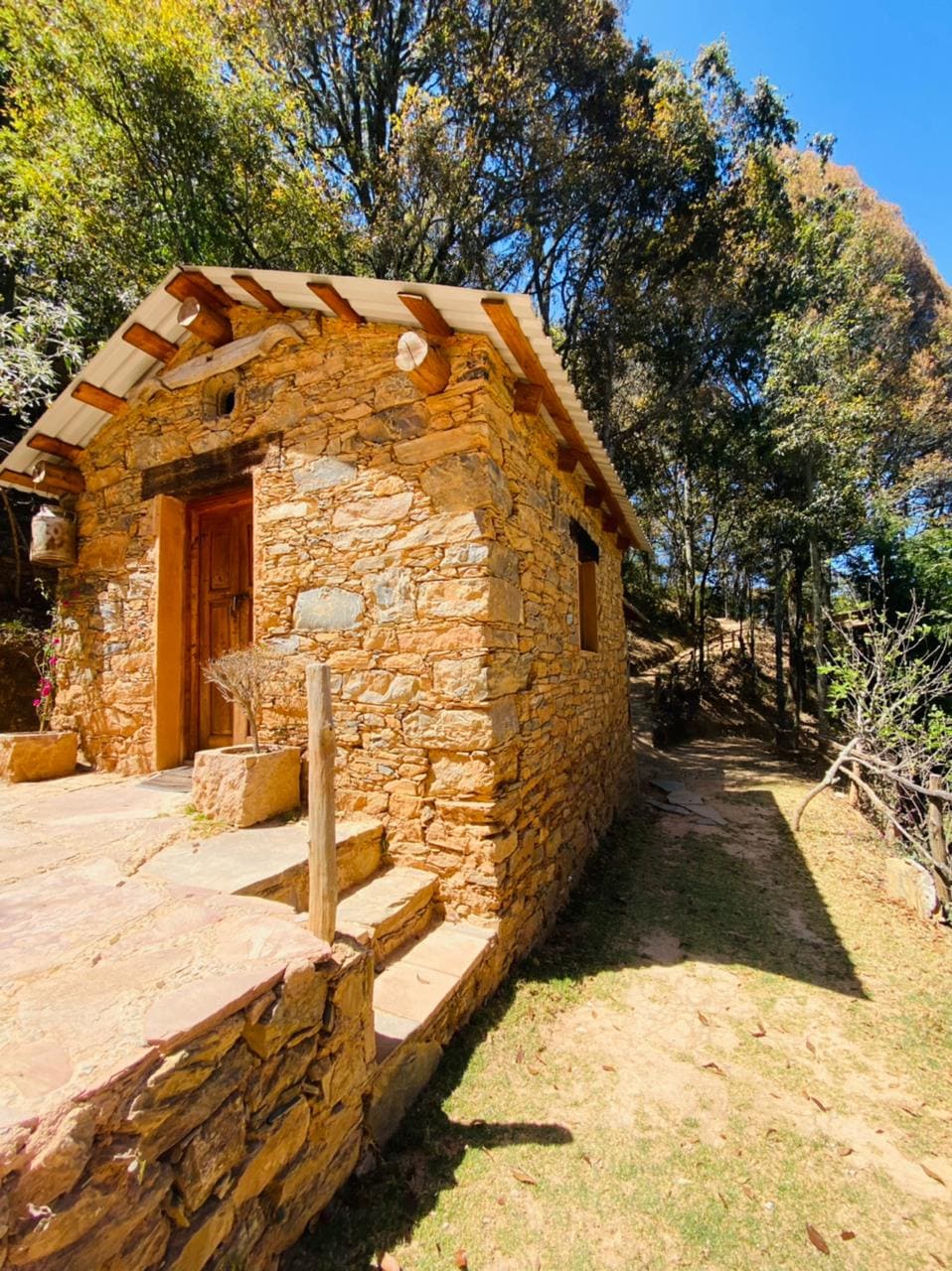 Cabaña Cantó del Jilguero/El Bosque de las Ranas