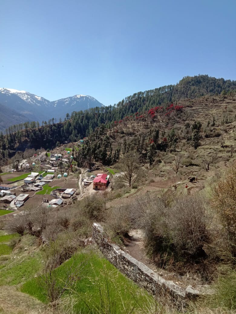 Garhwal Guesthouse Natin Village I