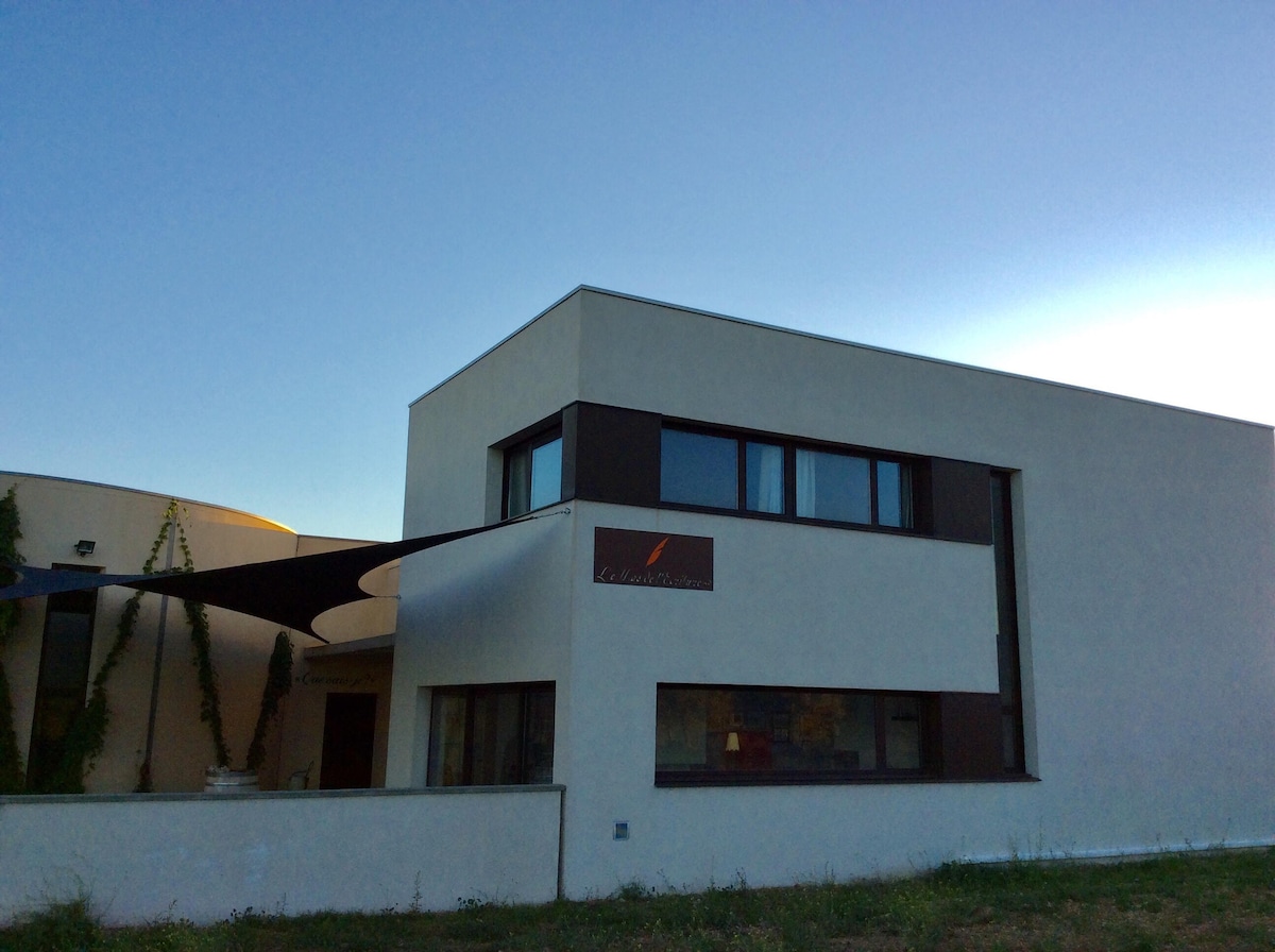 Loft au coeur d'un vignoble