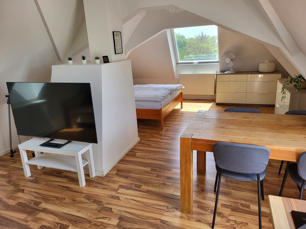 Charming Attic Apartment