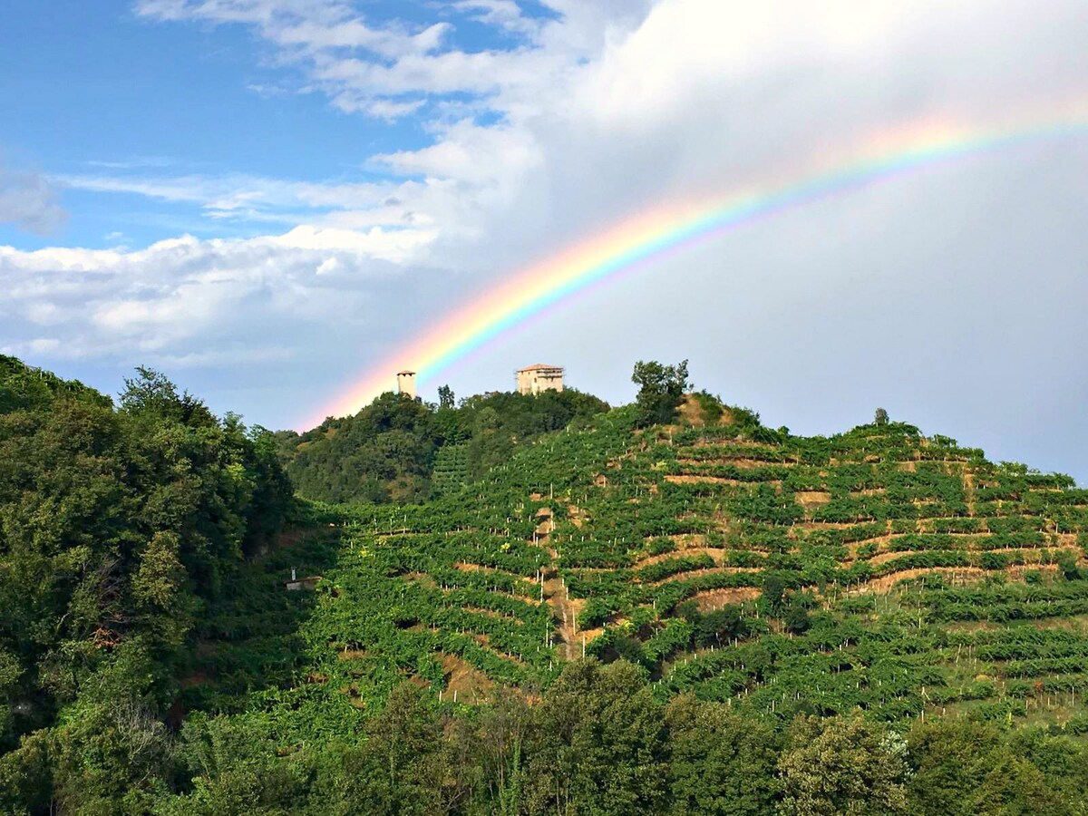 Le Vigne di Annalisa-Sweet in Prosecco地区