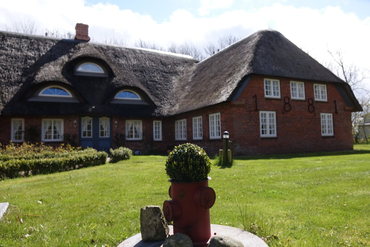 Friesenhaus Horsbüll, am Deich vor Sylt