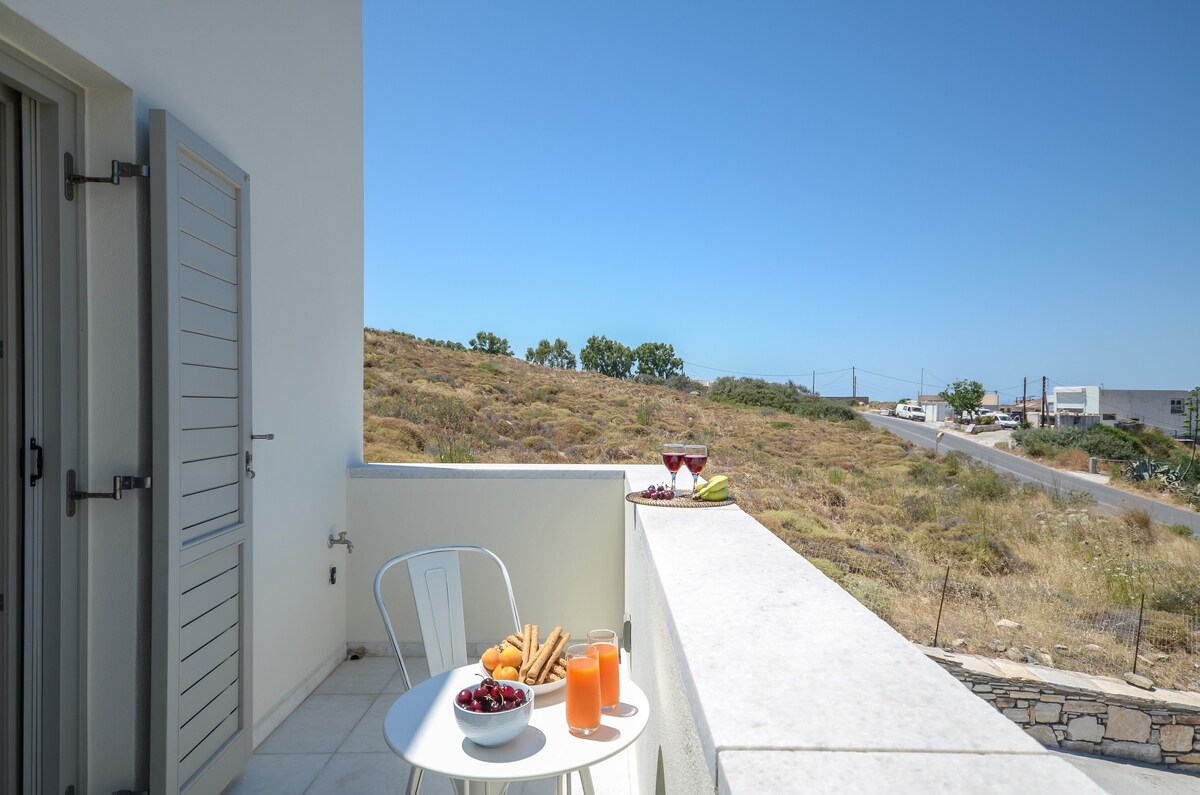 Serenity house Naxos ， 80平方米，景色优美。