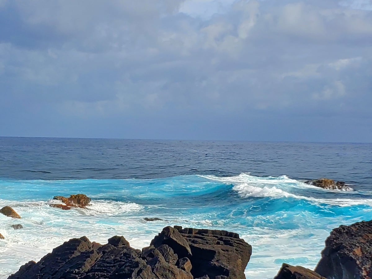 AlohaOhana ~度假村风格、游泳池、植物园！