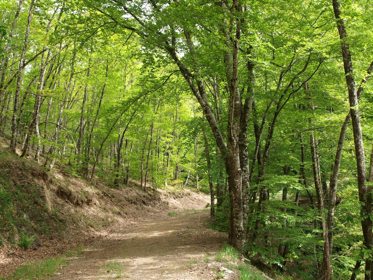 Aveyron Gîte  6 P. avec cheminée