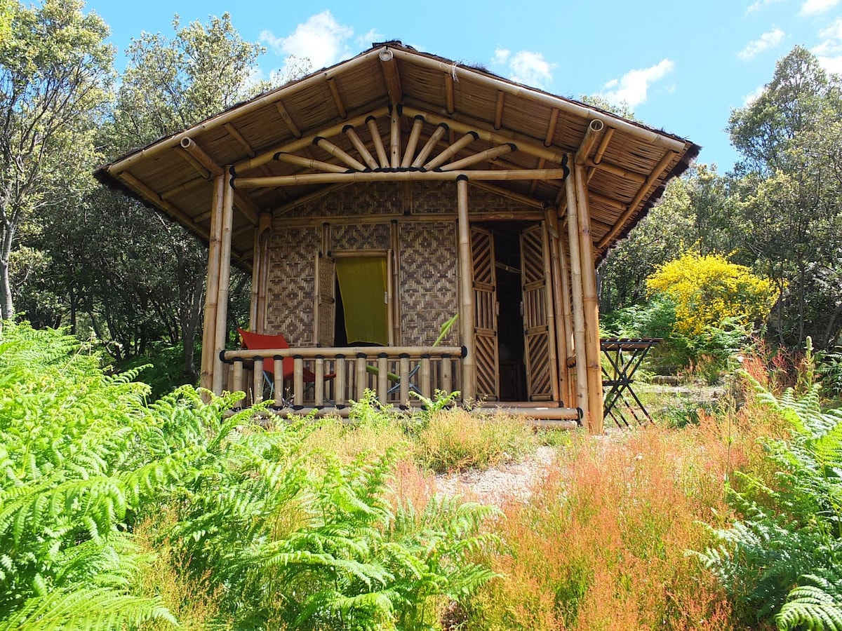 塞韦内斯南部的竹子小屋