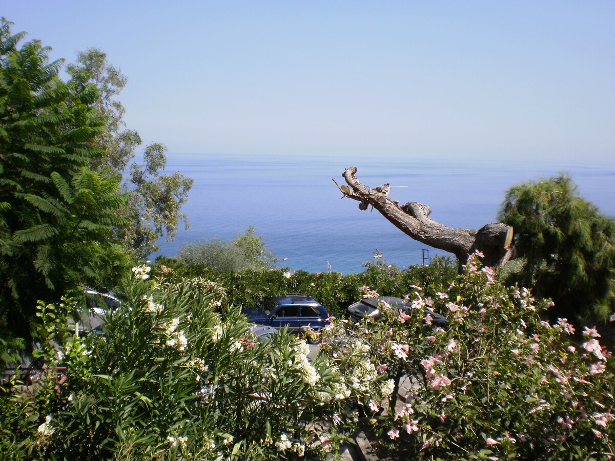 两室公寓，带全景露台和大型花园