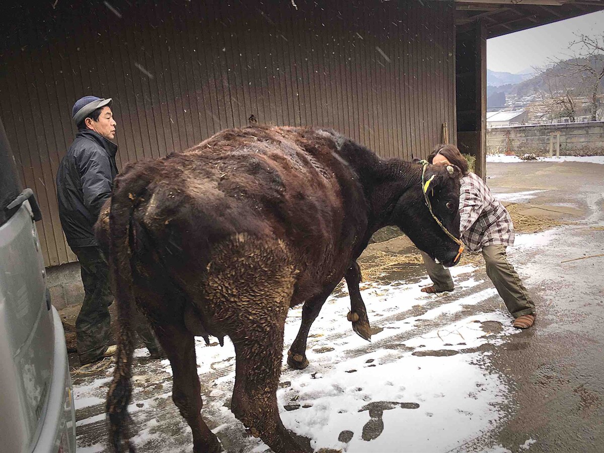 Authentic taste of rural Japanese living