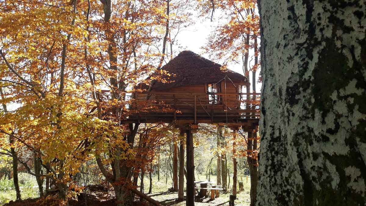 La Cabane des Fayards