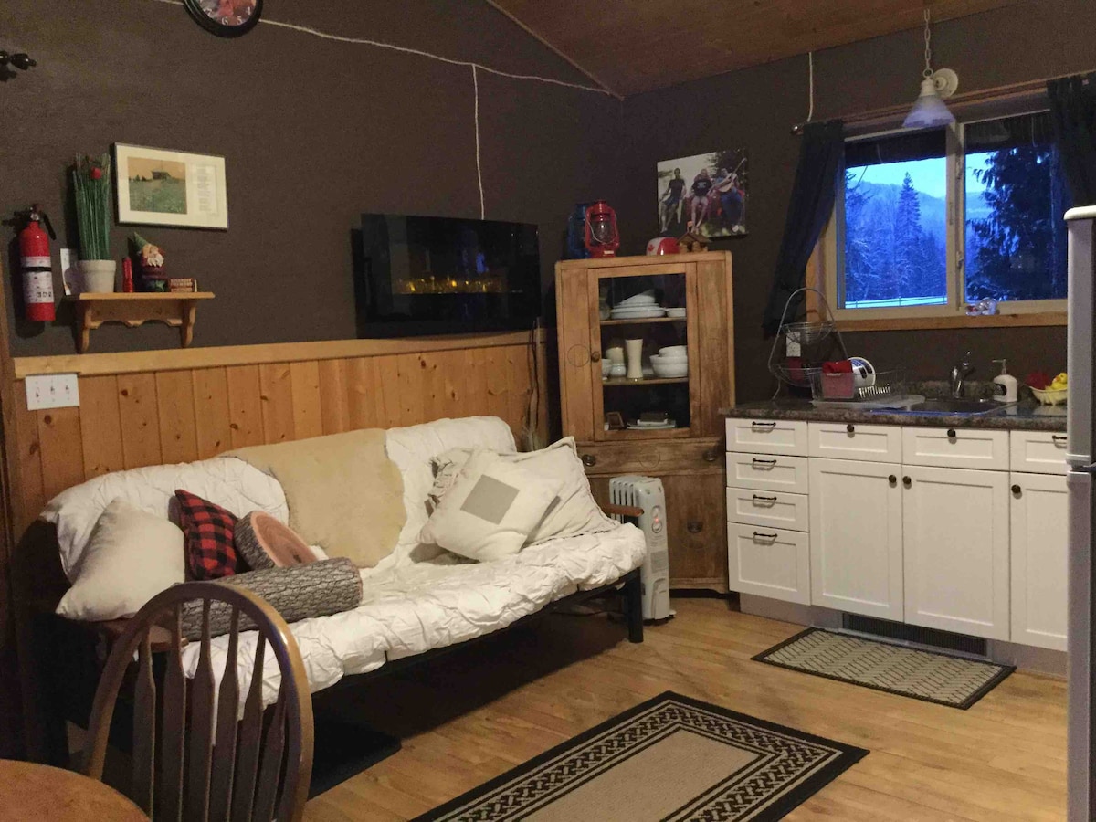 Airbnb Cabin North Shuswap Celista