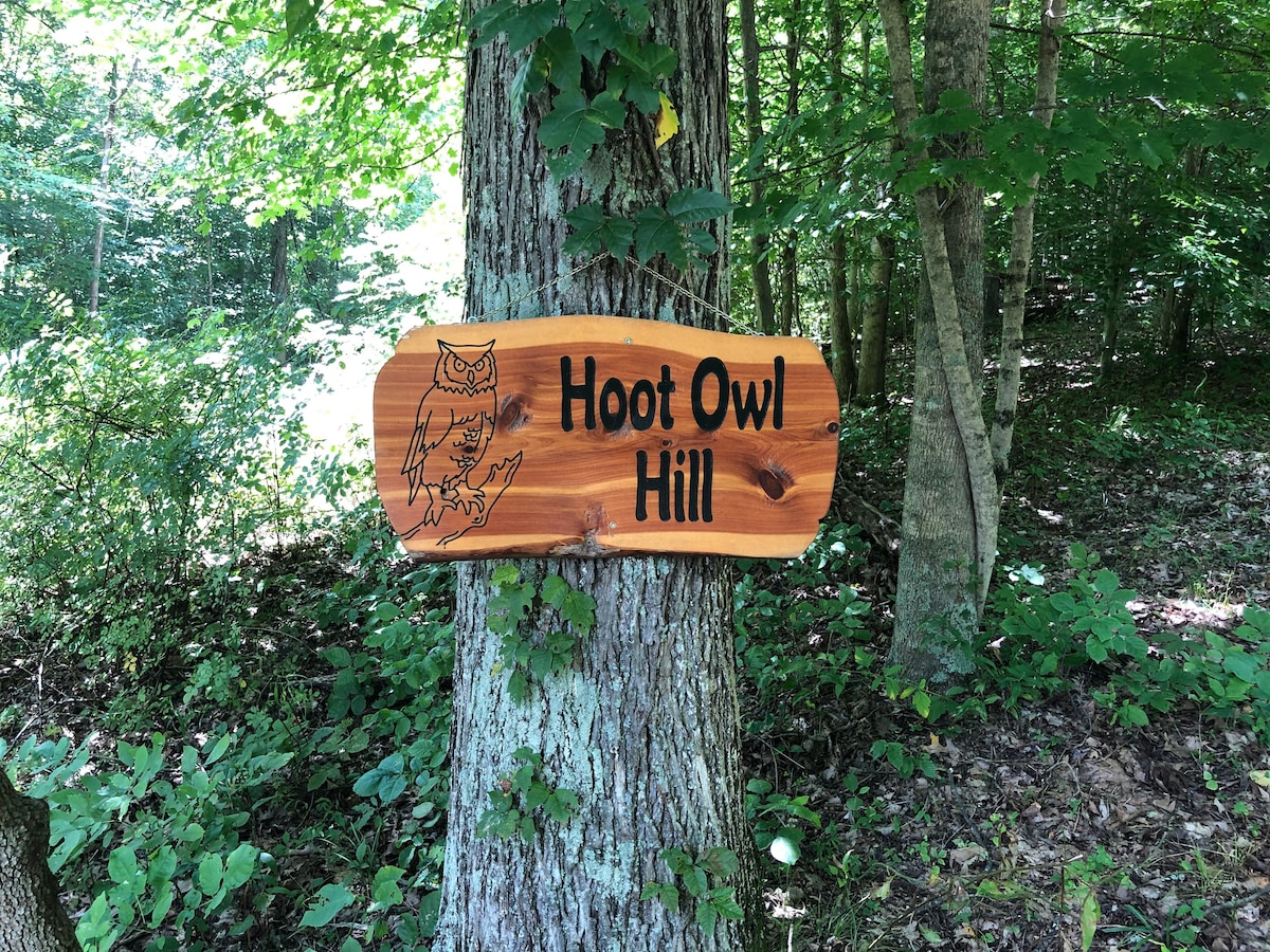 森林中的Hoot Owl Hill Cottage